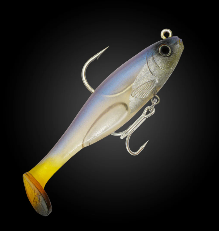 Fishcraft Dr Shad 100mm Paddletail