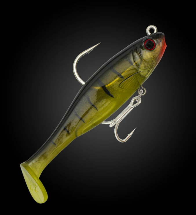 Fishcraft Dr Shad 100mm Paddletail