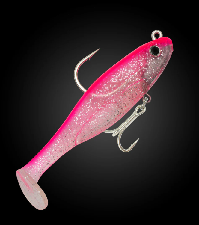 Fishcraft Dr Shad 100mm Paddletail